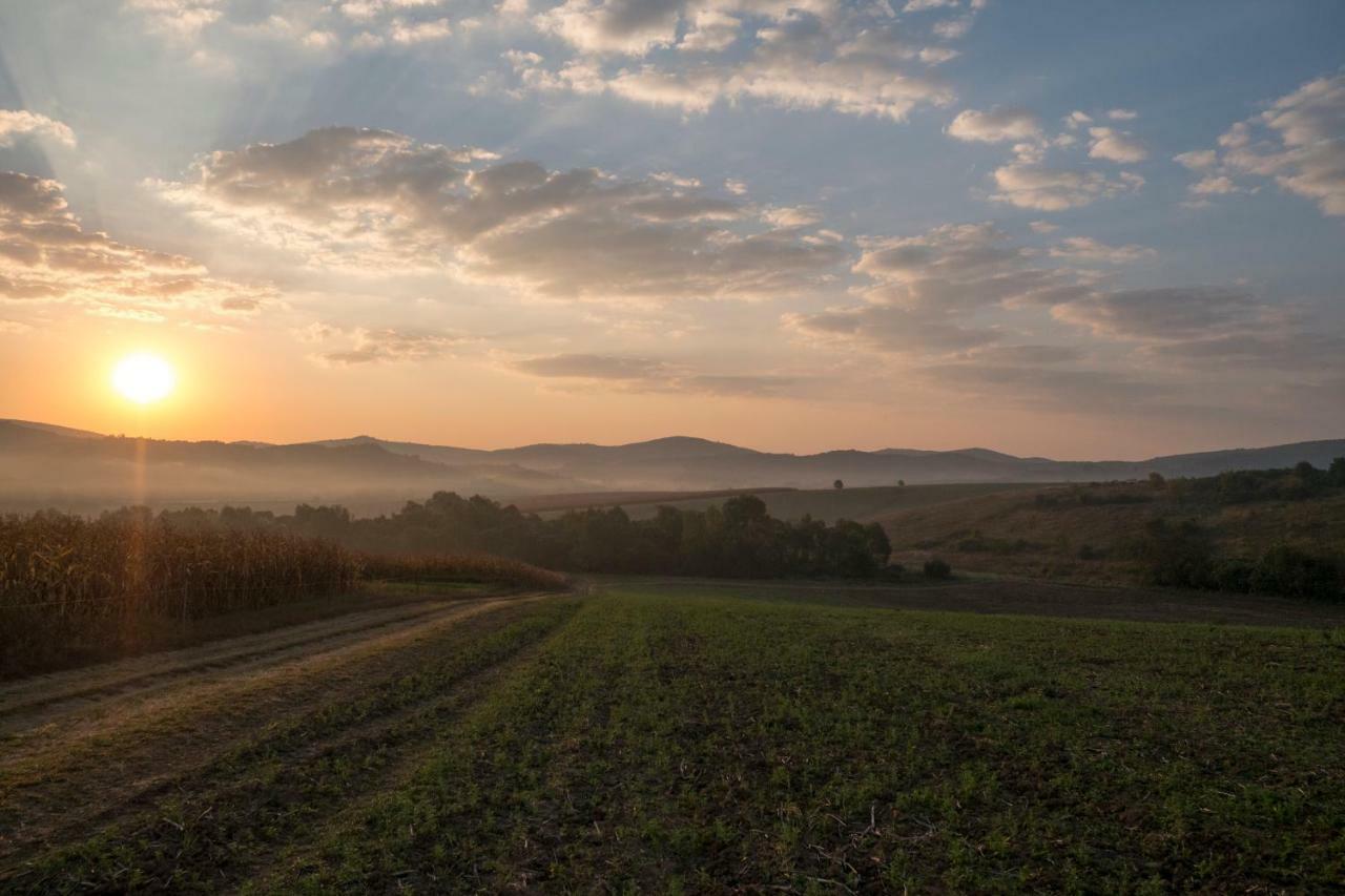 Herőke Vendégház Terény Exterior foto