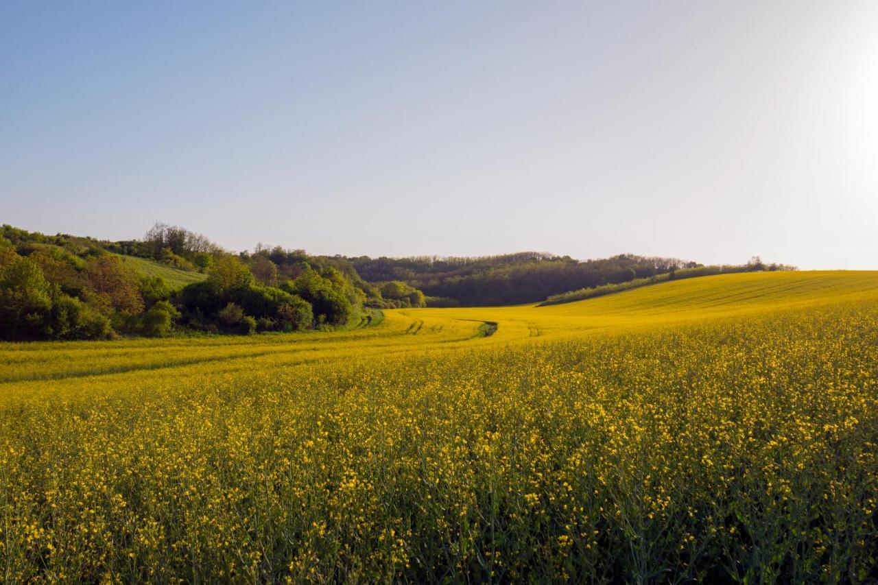 Herőke Vendégház Terény Exterior foto